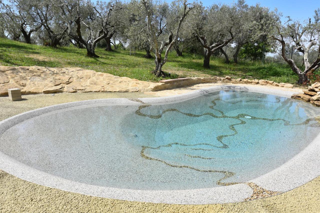 Case&Colline Villa Laura Montescudaio Exterior photo
